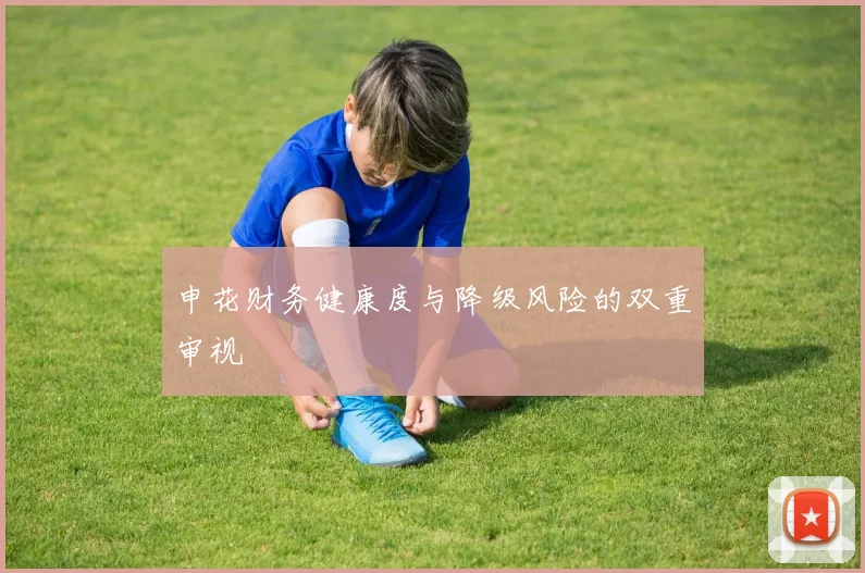 申花财务健康度与降级风险的双重审视
