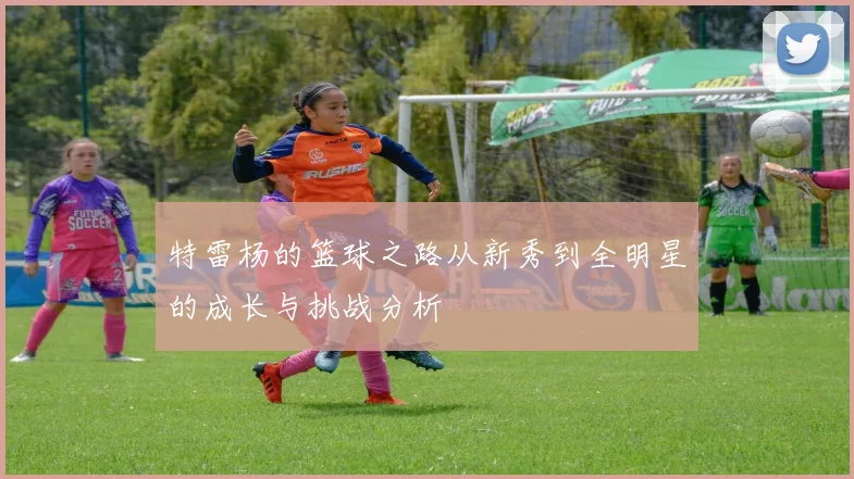特雷杨的篮球之路从新秀到全明星的成长与挑战分析