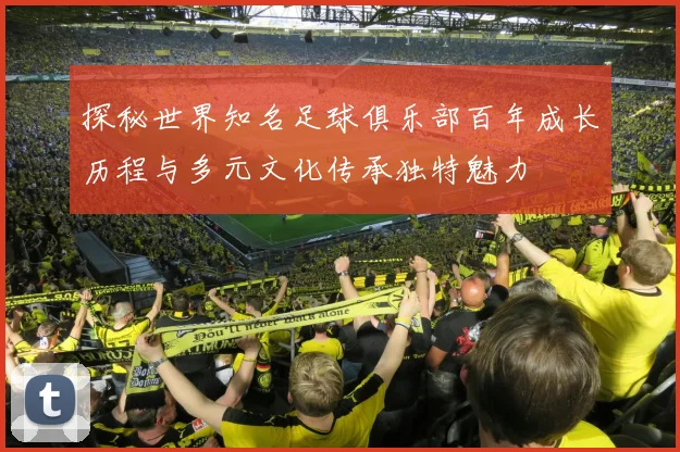 探秘世界知名足球俱乐部百年成长历程与多元文化传承独特魅力